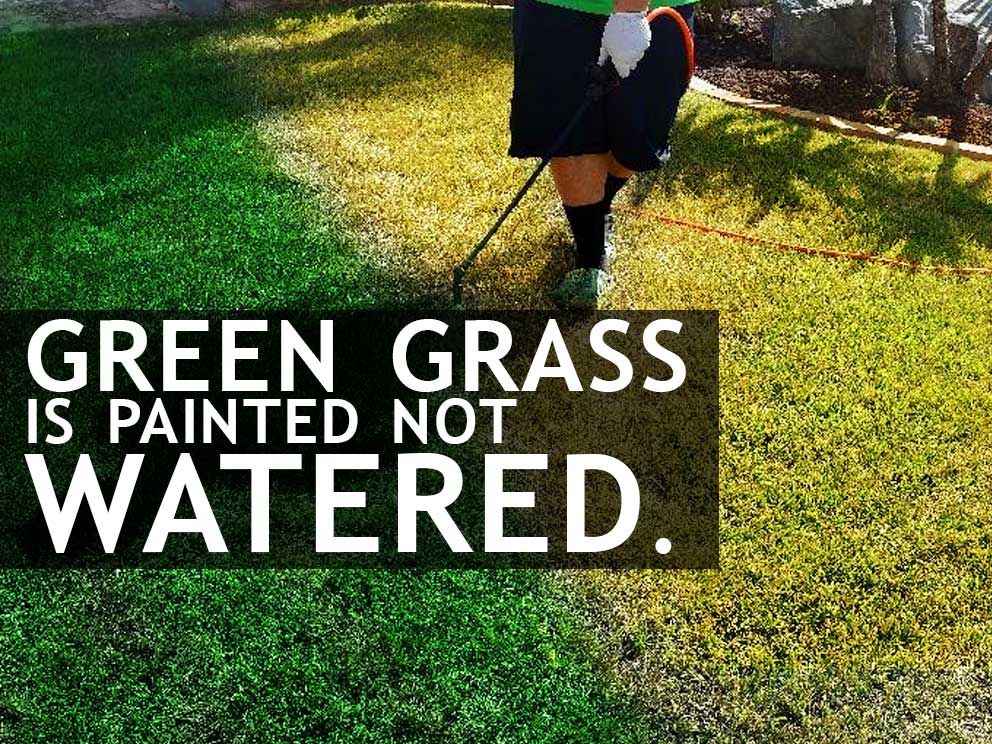 Paint Your Grass Green